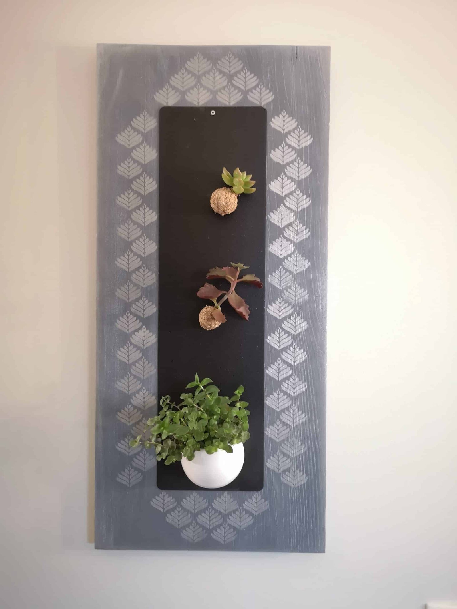 Support mural en bois aimanté pour petites plantes
